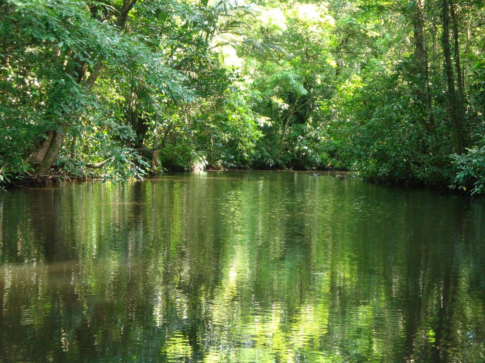 Río tranquilo en el bosque de Guanacaste
