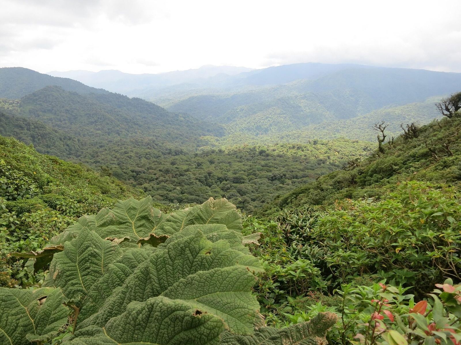 Paisaje montañoso camino a la frontera con Nicaragua